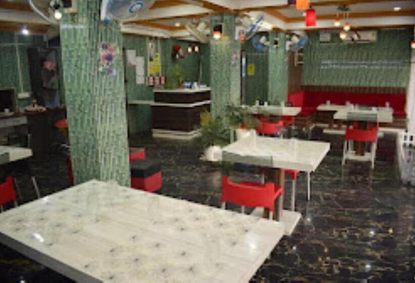 בית מלון כפרי Amy Pasighat