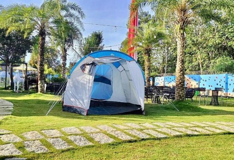 هتل Apple House & Coffee