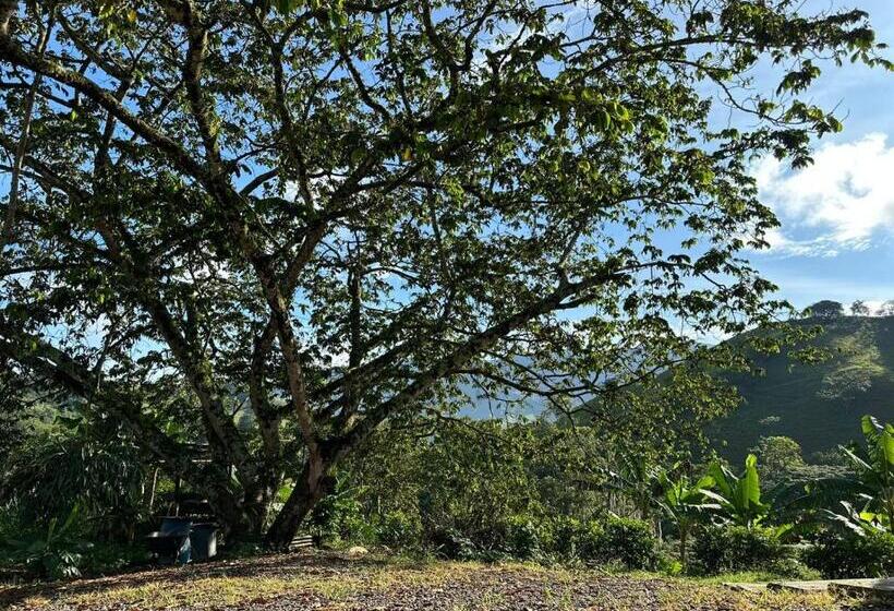 酒店 Campestre La Francesina