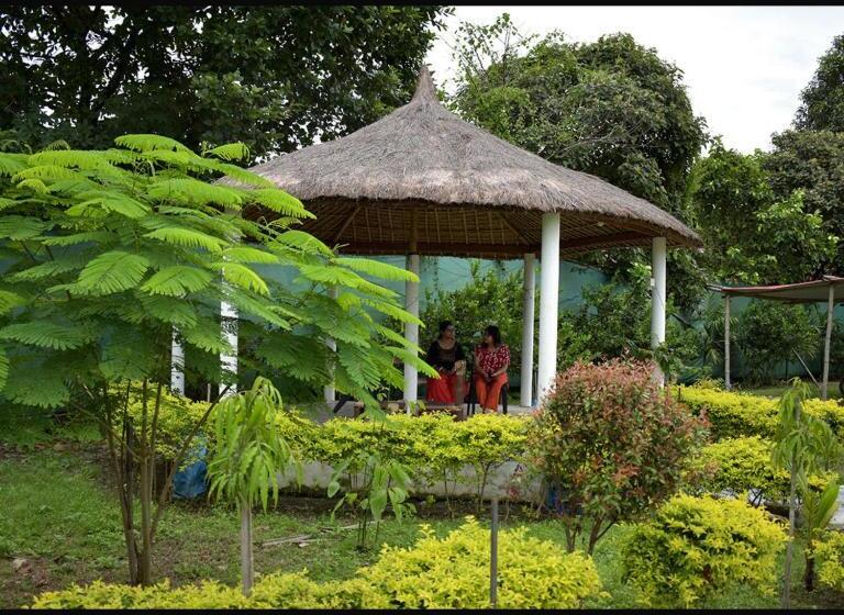 בית מלון כפרי Falcon Jungle Resort