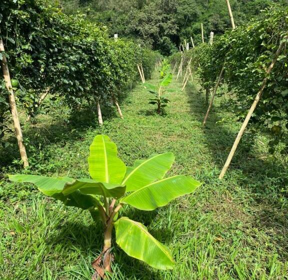בית מלון כפרי Hacienda La Tulia Eco