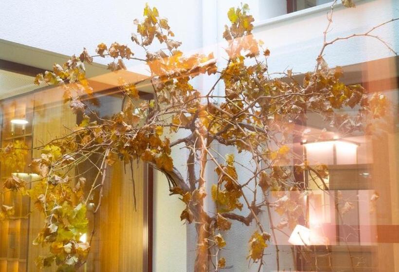 ホテル La Hospedería - El Provencio