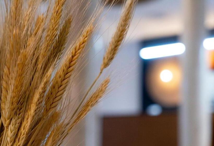 ホテル La Hospedería - El Provencio