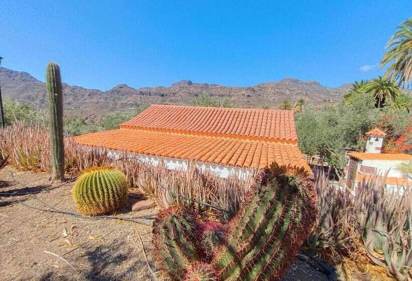 בית מלון כפרי Django