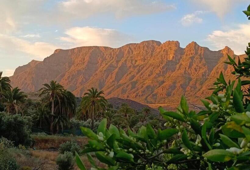 בית מלון כפרי Django