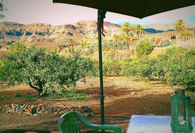 בית מלון כפרי Django