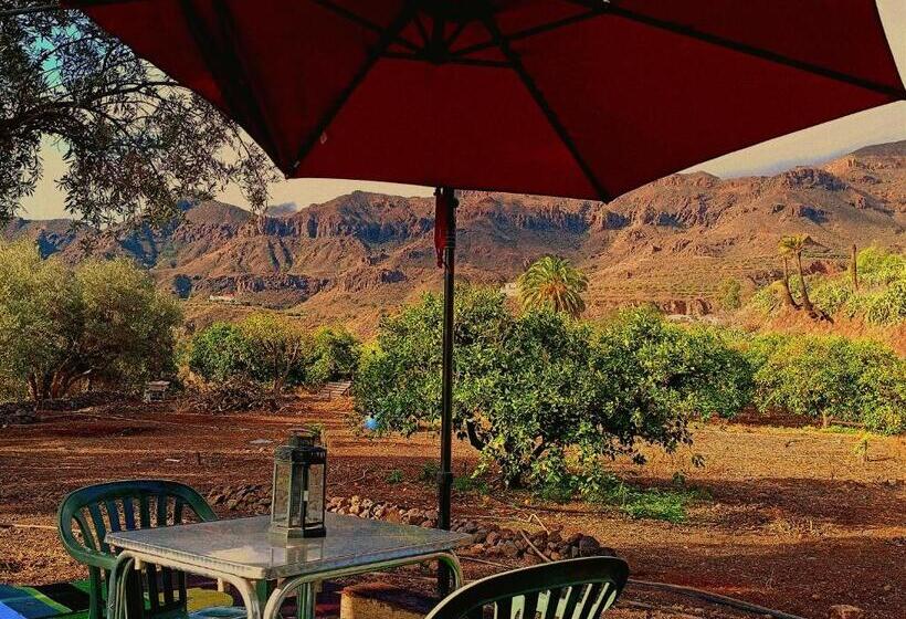 בית מלון כפרי Django