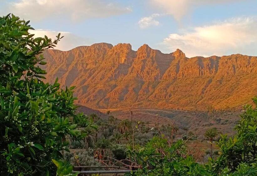 בית מלון כפרי Django