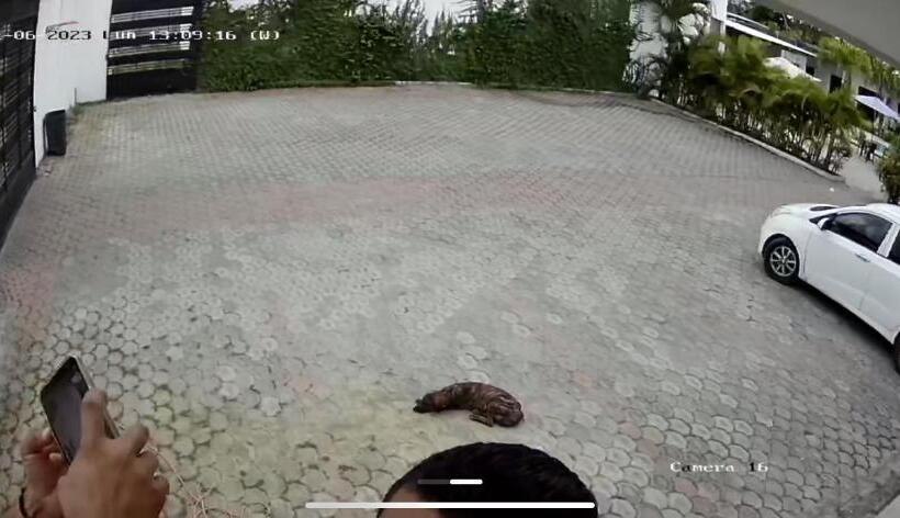 هتل Palmar Del Rio