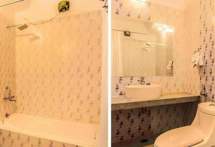 Отель Wonderland Inn