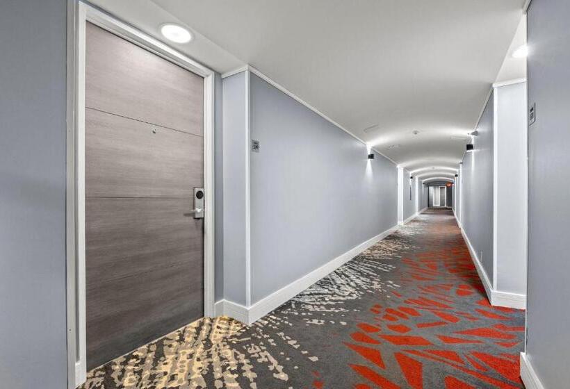 Luxury Condo Hotel With Full Kitchen, Located At 5 Mints Walk To The Beach