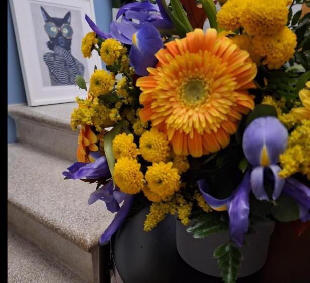 Maison Mojan B&b Tra Venezia E Treviso