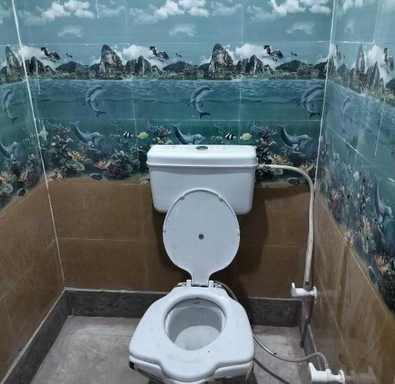 Oyo 8203 Hotel Moon Light