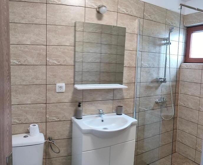 פנסיון Casa Vicu