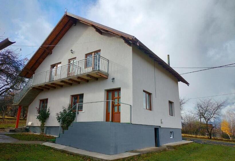 بنسيون Casa Vicu