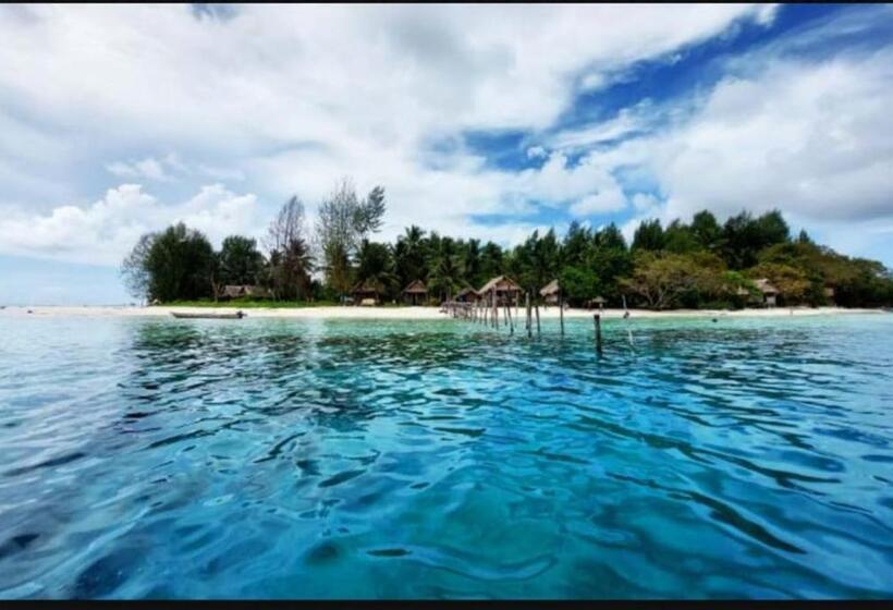 بنسيون Denias Homestay Raja Ampat