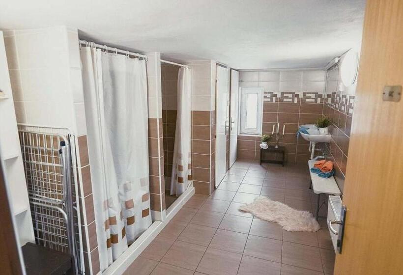 Panzió Horská Bouda šubišák