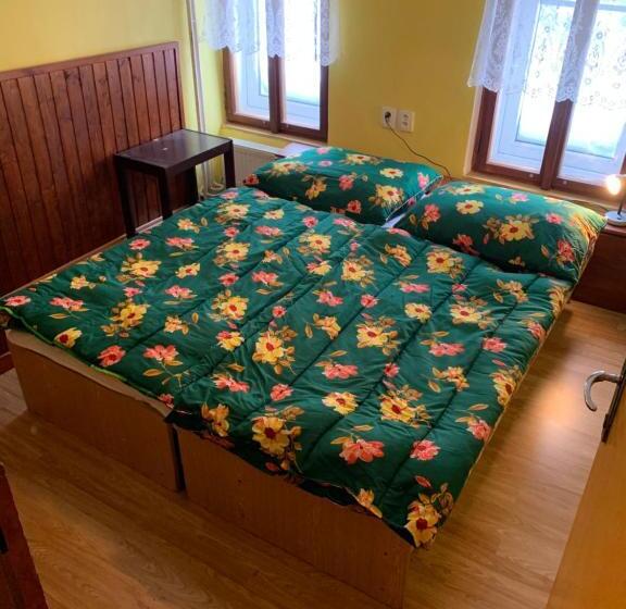 Panzió Horská Bouda šubišák