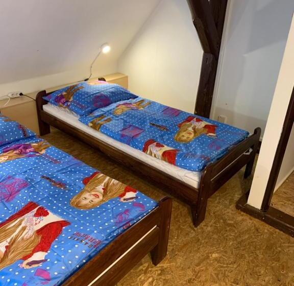 Panzió Horská Bouda šubišák