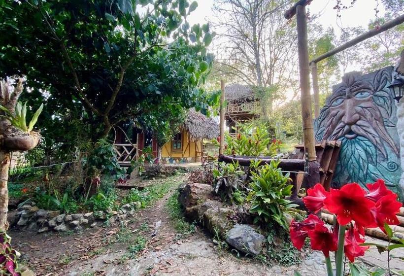 پانسیون Hospedaje Finca El Mono