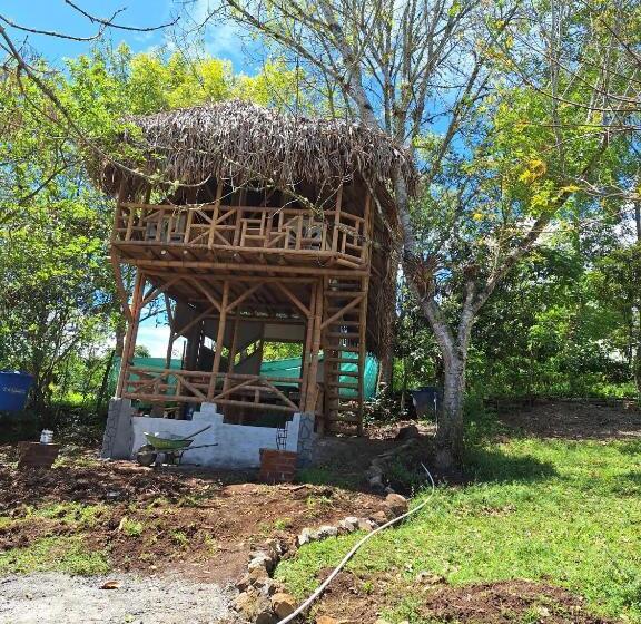 ペンション Hospedaje Finca El Mono