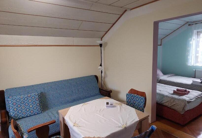 پانسیون аpartman Elena