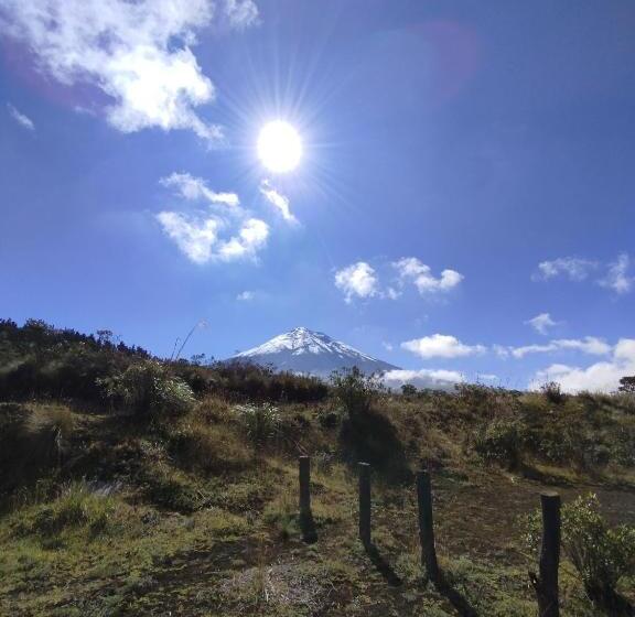 پانسیون Great Location Bed And Breakfast