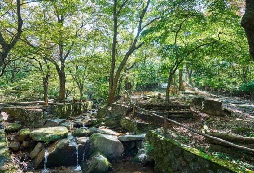 膳宿费 Stay Vibe Healing House