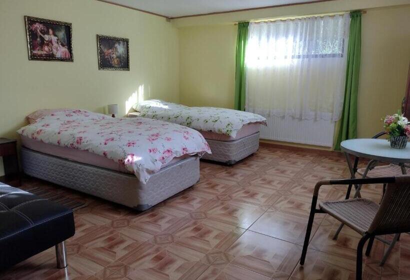 ペンション Tierra Nueva