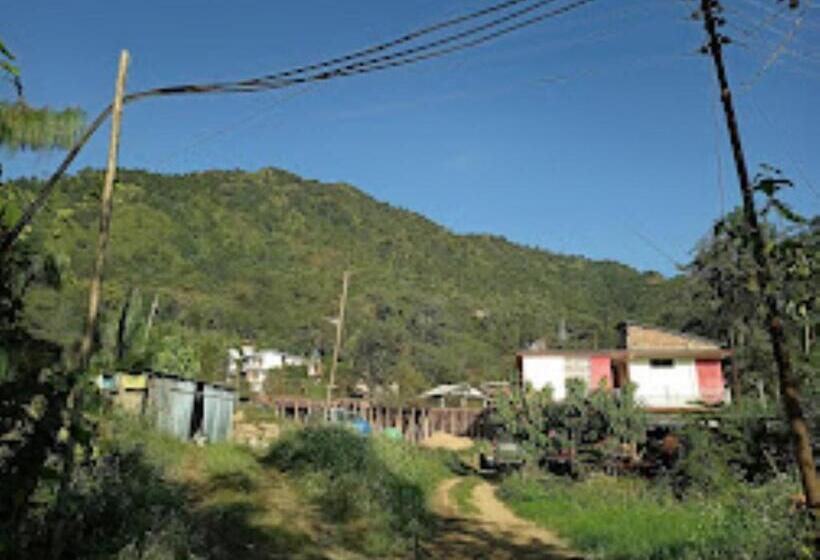 ペンション Vicha Paying Guest Nagaland