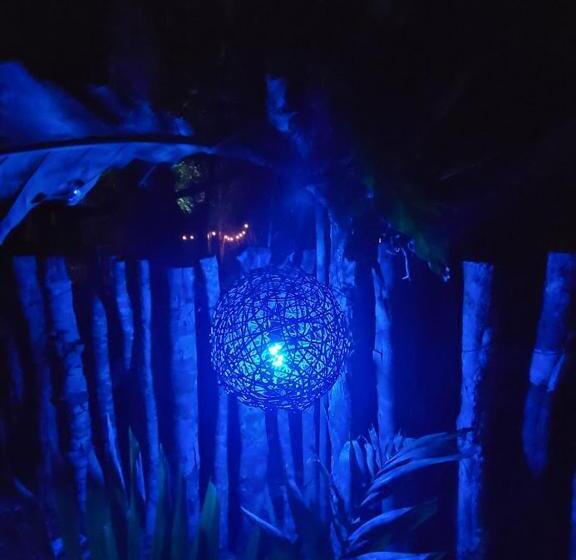 Quantum Mayan Skyloft