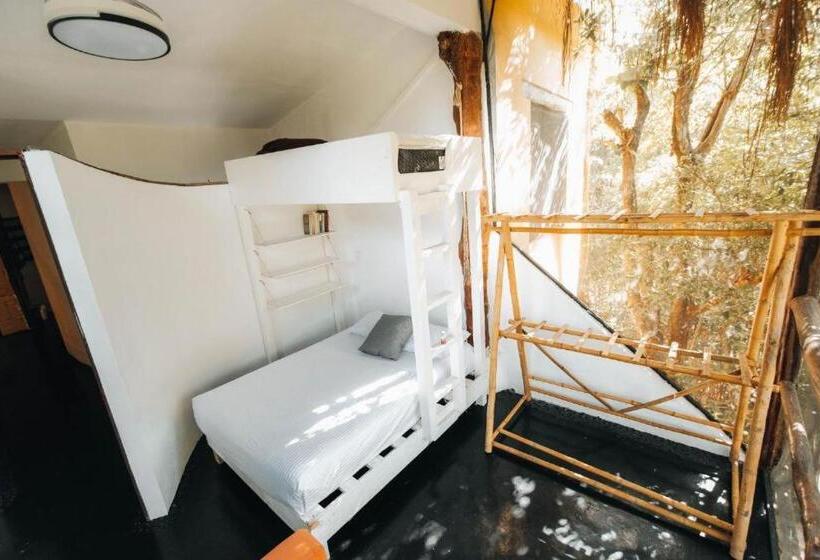 Quantum Mayan Skyloft