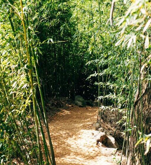 Star House/星之家酒店