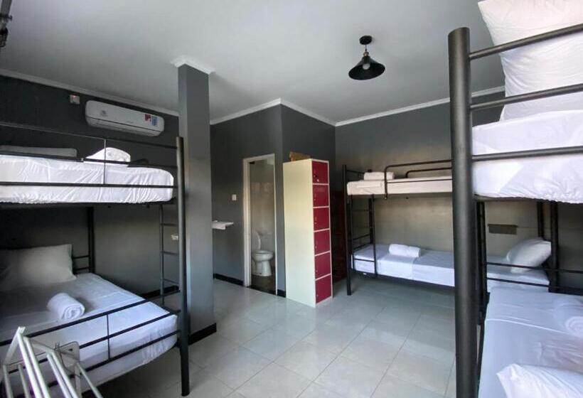 הוסטל Summer Of Surf