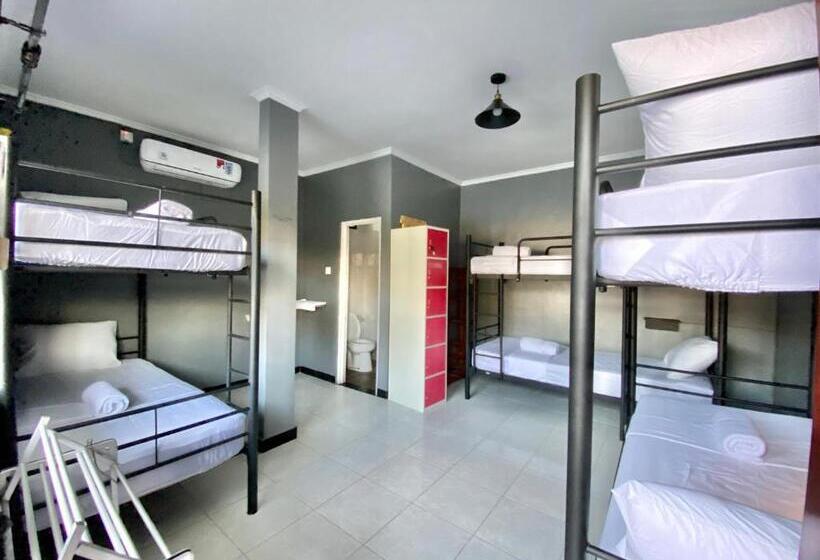 הוסטל Summer Of Surf