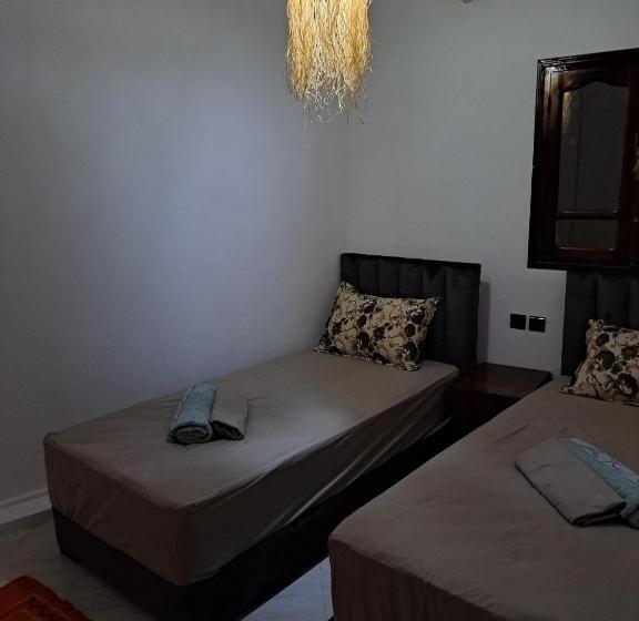 هاستل Mira Guest House