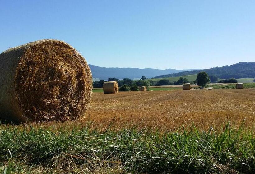 مبيت وإفطار Au Soin De La Vie