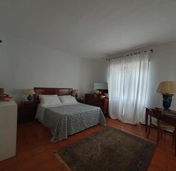 Bed and Breakfast Bookanvillea