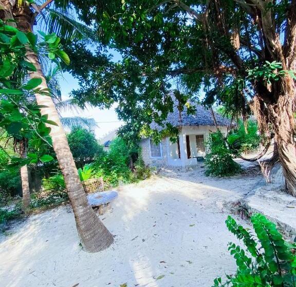 مبيت وإفطار Bwejuu Garden View Bungalows