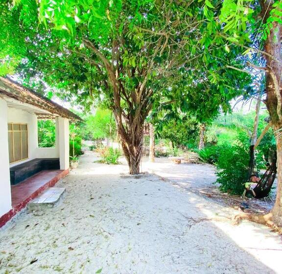 مبيت وإفطار Bwejuu Garden View Bungalows