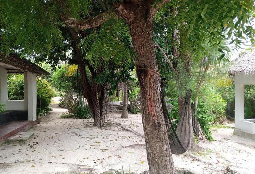 مبيت وإفطار Bwejuu Garden View Bungalows