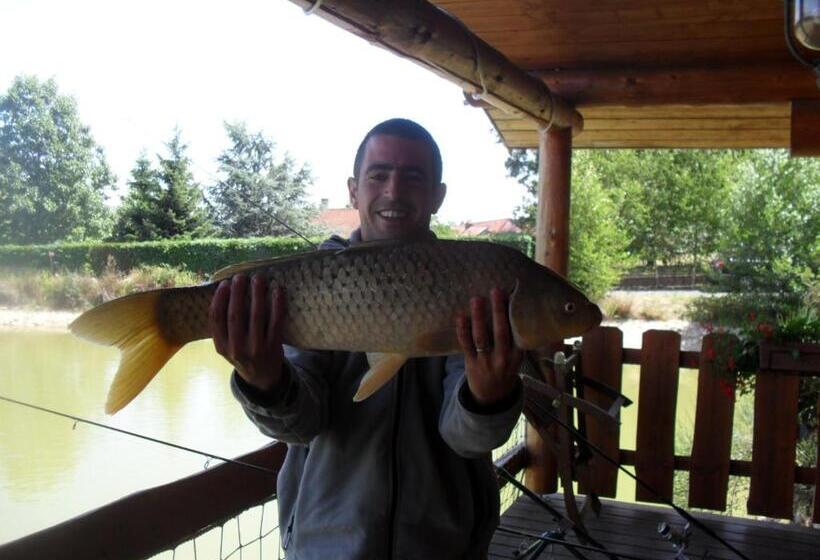 مبيت وإفطار Le Domaine De La Vergnolle