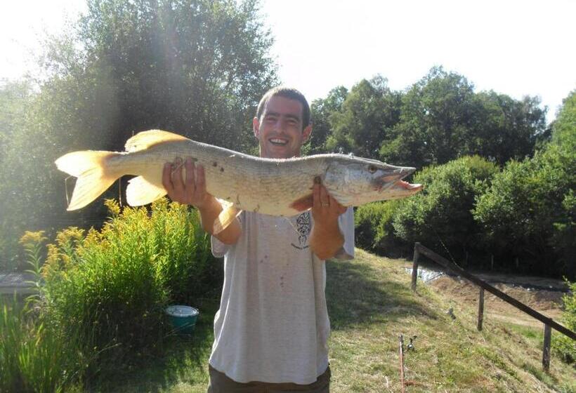 مبيت وإفطار Le Domaine De La Vergnolle