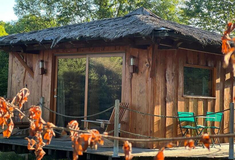 مبيت وإفطار Le Domaine De La Vergnolle