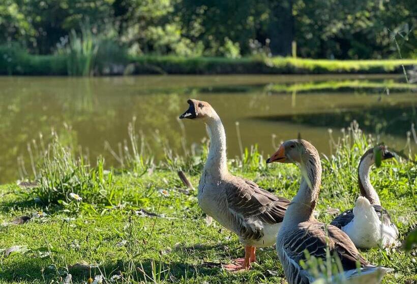 مبيت وإفطار Le Domaine De La Vergnolle