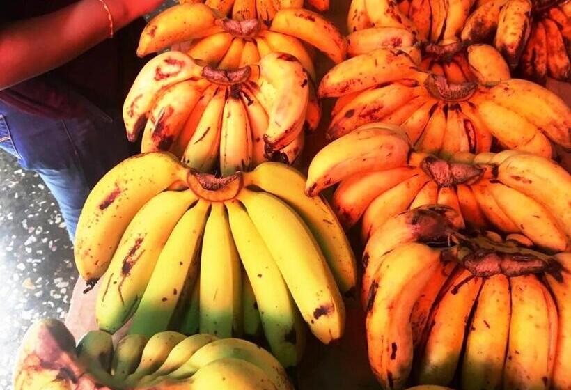 住宿加早餐  Fully Private Villa 390sqm Zero Minutes To Beach 3 Star Serviced