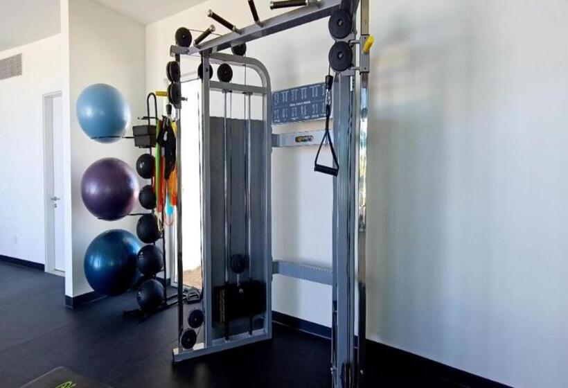 Costa Divina B6 By Kivoya