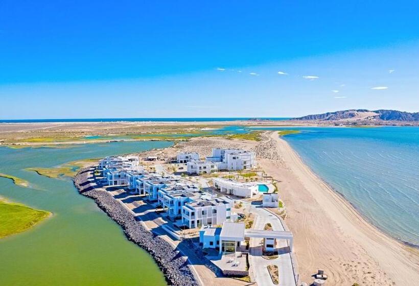 Costa Divina B6 By Kivoya