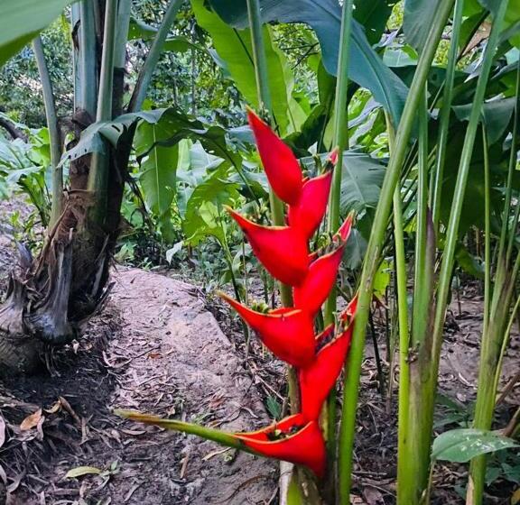 فندق Cabaña Familiar En Afra Reserva Natural