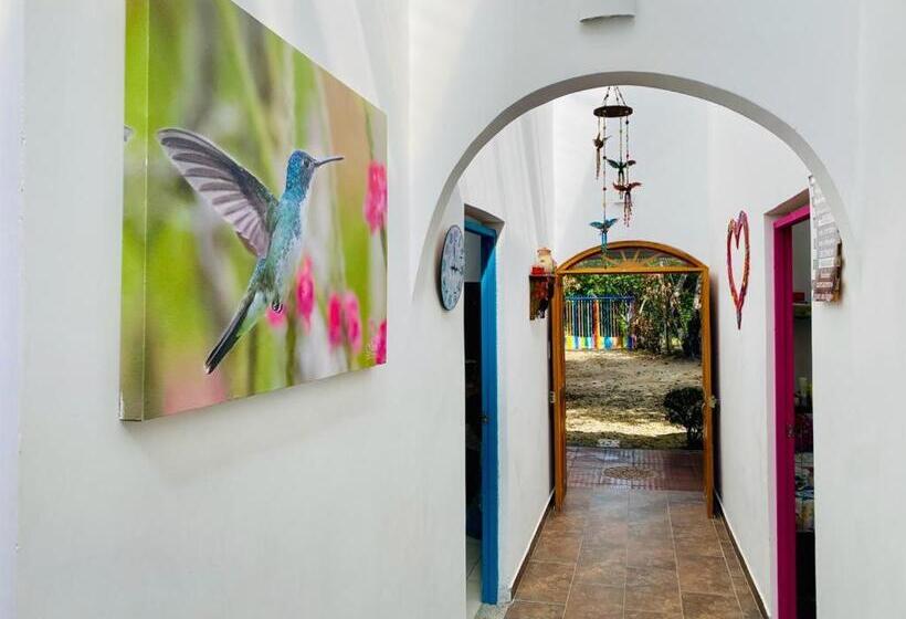 فندق Cabaña Familiar En Afra Reserva Natural